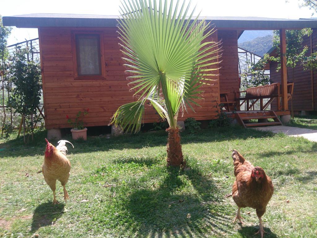 Sera Pansiyon Çıralı Esterno foto