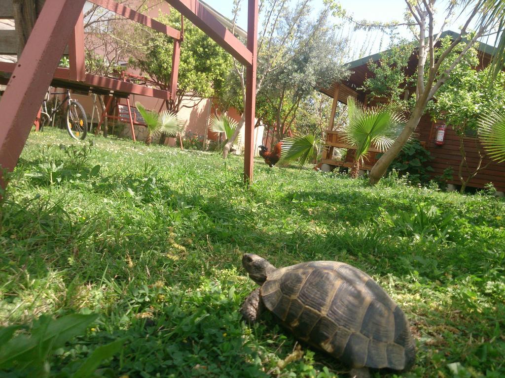 Sera Pansiyon Çıralı Esterno foto